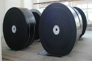 The Importance of Cold-Resistant Conveyor Belts in Cold Storage And Refrigeration Industries